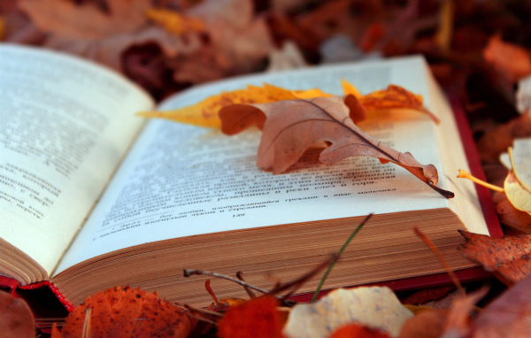 	   Book on autumn leaves