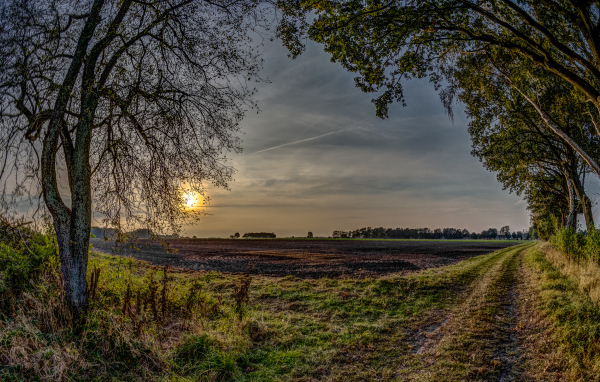 Убранное поле перед закатом