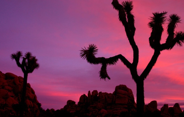 Национальный парк Калифорнии закат солнца