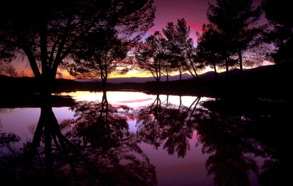 Розовое небо над озером