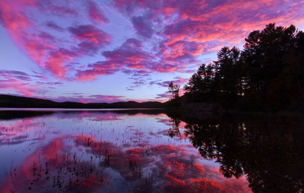 Розовый закат над озером