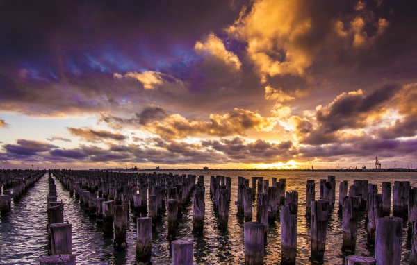 Деревянные сваи в воде