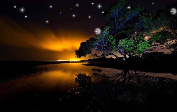 Звезды на ночном небе