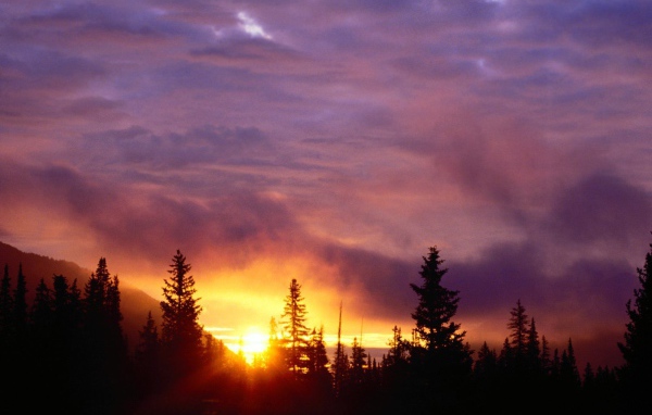 Закат в лесу