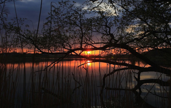 Закат на тихом озере