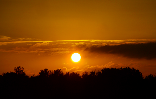 Солнце над лесом