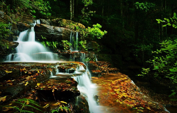 Ручей с водопадом