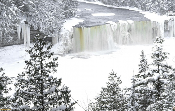 Замерзший водопад среди деревьев