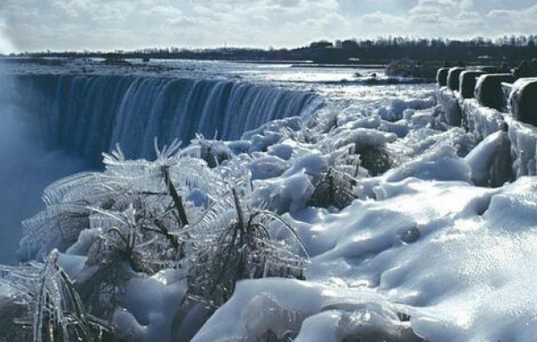 Обледеневшие растения на фоне замерзшего водопада