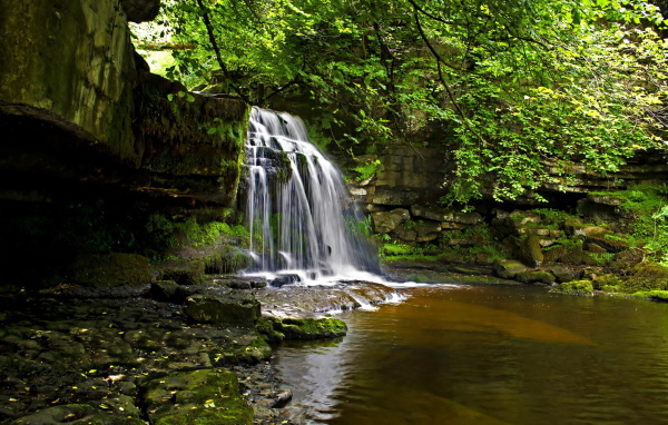 Маленький водопад в лесу