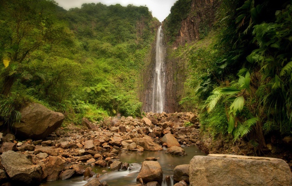 Джунгли вокруг водопада