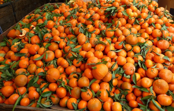 Мандариновый фон