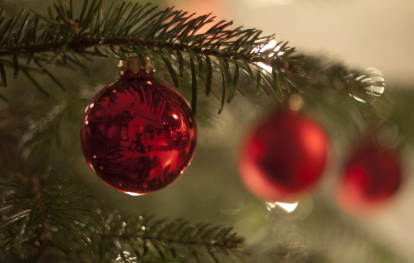 Красный шар на ветке