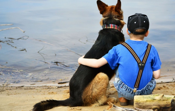 Друзья сидят у воды