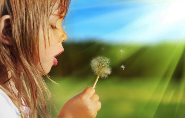 Девочка дует на одуванчик