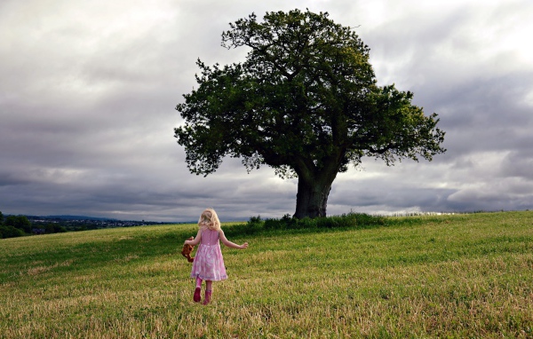 Маленькая девочка бежит к дереву