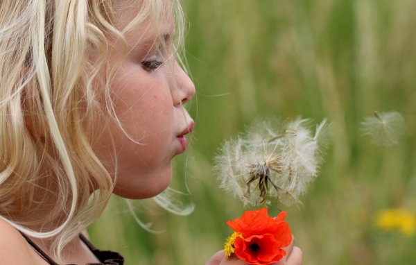 Девочка дует на цветок одуванчик