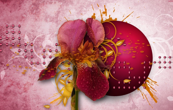 Абстракция с лепестками