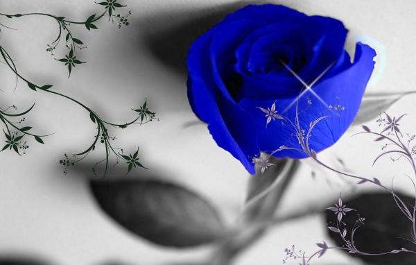 Синяя роза и узоры