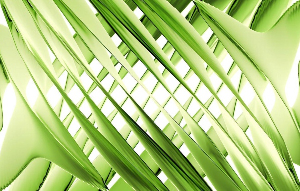 Зеленое переплетение