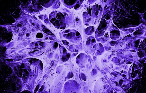 Пористая структура