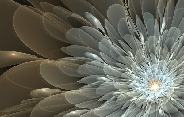 Белый абстрактный цветок