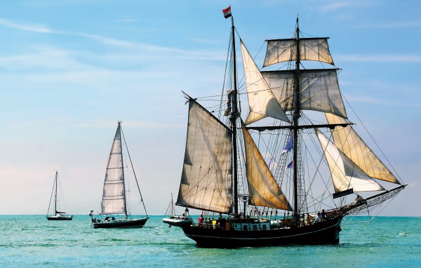 Плеяда парусников в море