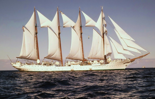 Попутный ветер в парусах