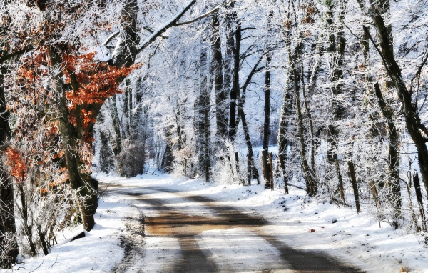 Дорога в зимнем парке