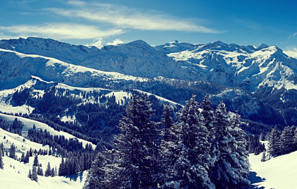 Зимний пейзаж в горах