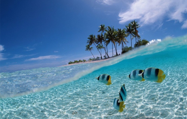 Рыбки у берега Бали