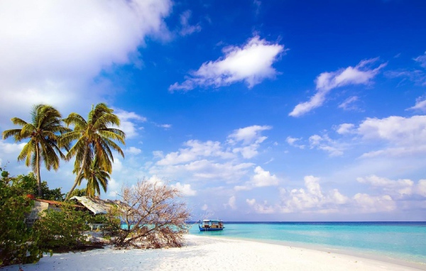 Природа острова Бали