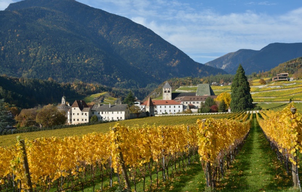 Поля в окрестностях города Нойштифт, Австрия