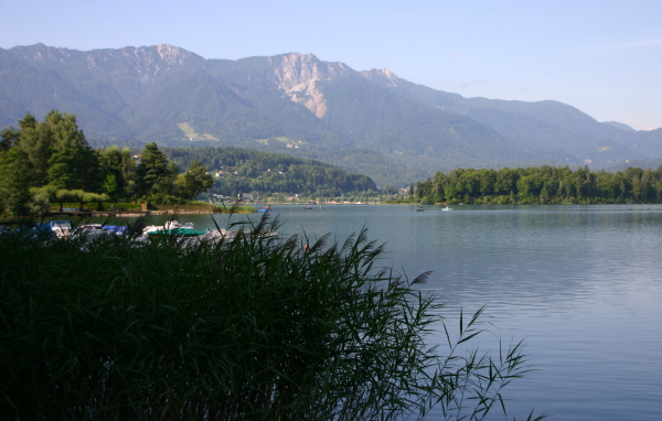 Камыши на озере на курорте Фаакер-Зее, Австрия