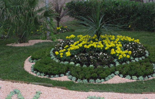 Желтые цветы на курорте Баден, Австрия