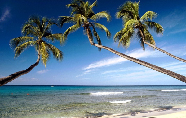 Красивое Барбадос