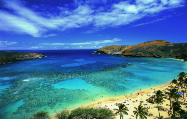 Удивительная страна Барбадос