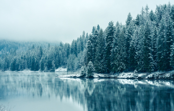 Красивая зима, Британская Колумбия, Канада