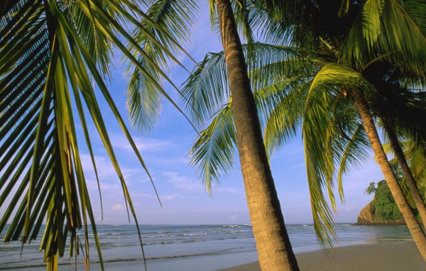 Потрясающая Погода Коста-Рика