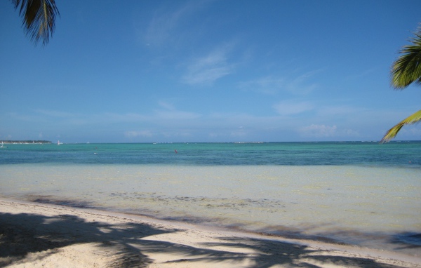 Удивительное Коста-Рика