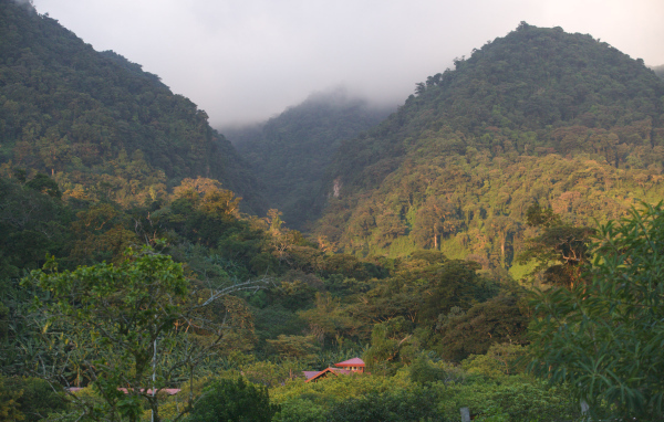 Замечательное Коста-Рика