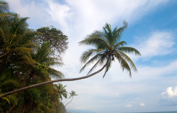 Великое Коста-Рика