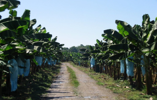 Впечатляющие Коста-Рика