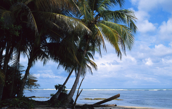 Невероятная страна Коста-Рика