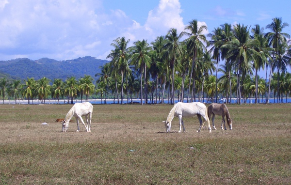 Популярное место в Коста-Рика
