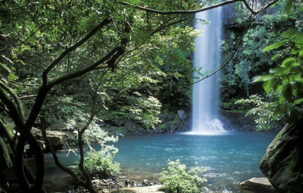 Невероятное место в Коста-Рика 