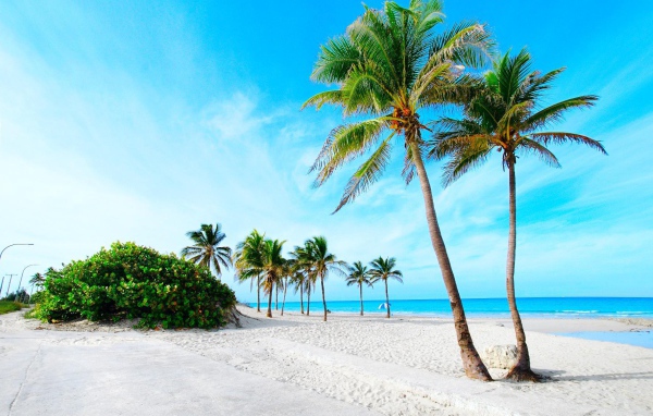 Пальмы на пляже на курорте Кайо Энсеначос, Куба