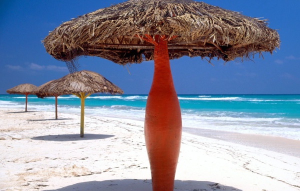 Пляжные зонтики на курорте Кайо Ларго, Куба