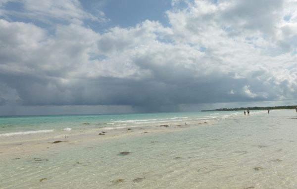 Зимний отдых на курорте Кайо Коко, Куба