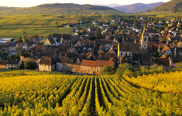 Город среди виноградников в Эльзасе, Франция